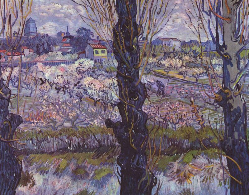 Vincent Van Gogh Flowering Orchards